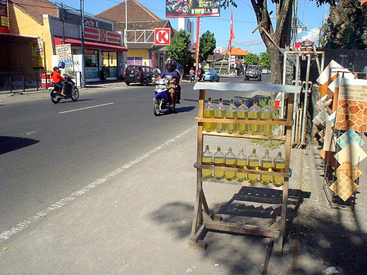 DSC00517