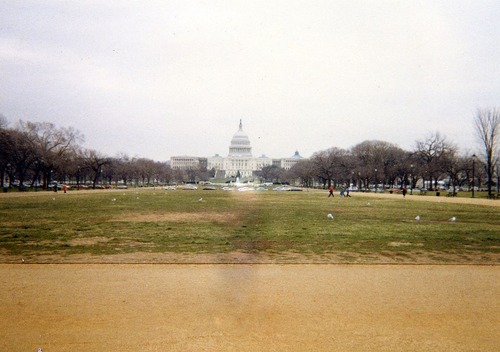 img401