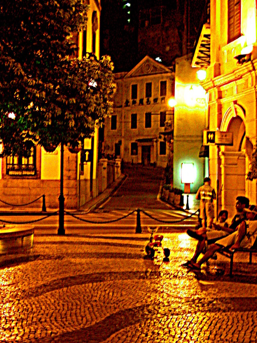 1-DSCN0559
