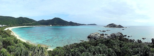 IMG_0869