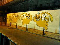 DSCN0528