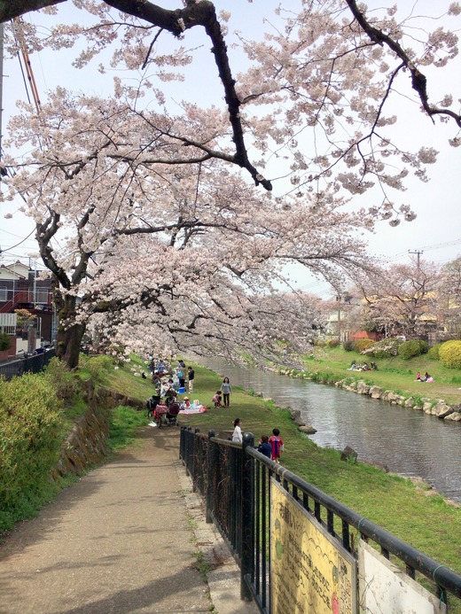 20170406_033543000_iOS