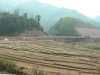 src_12004646