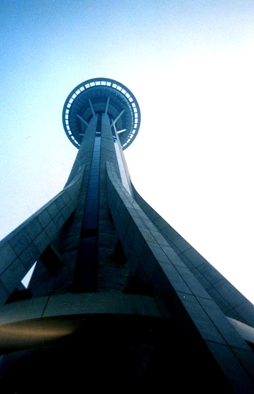 src_10049911