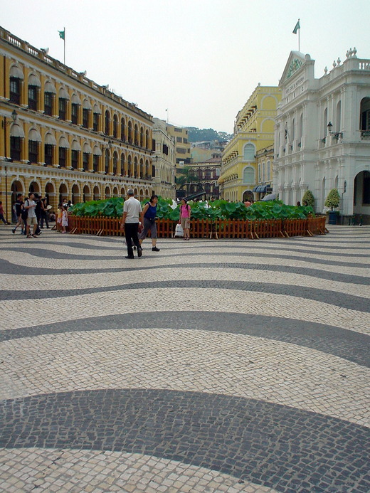 DSC00323