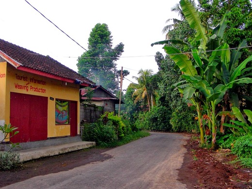 DSCN3721
