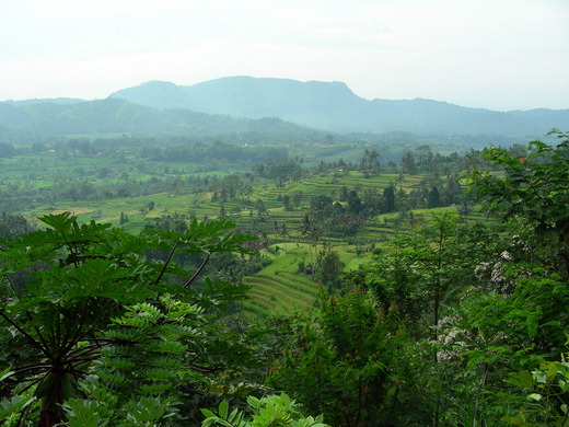1-DSCN3743