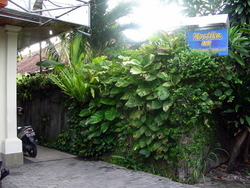 Mustika Inn 02