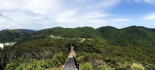IMG_0807