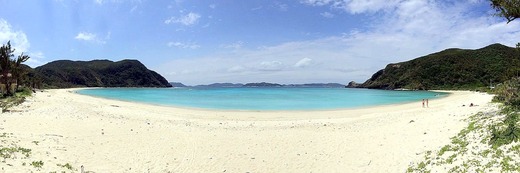 IMG_0774
