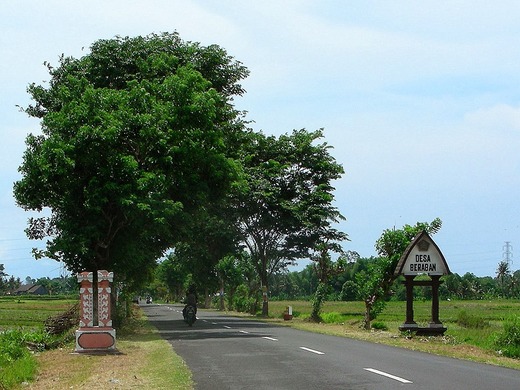 DSCN3901