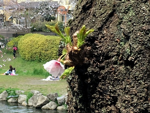 20170406_033829696_iOS