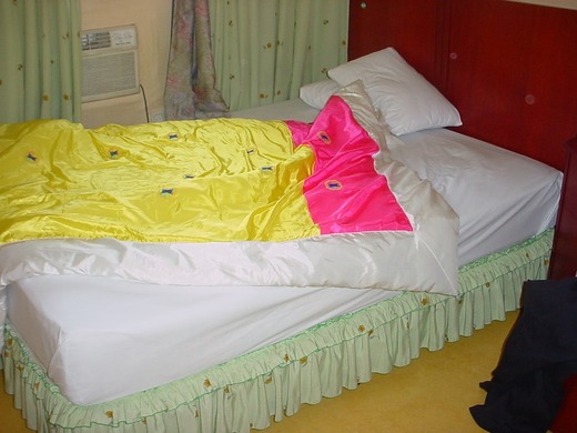DSC00503