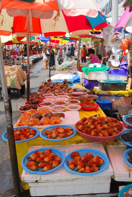2014 Pusan Korea 038