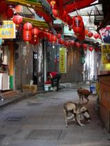 悲情城市