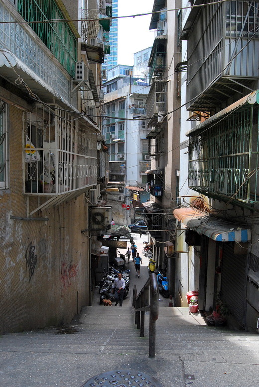 1-DSC_0336
