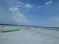 57c39b55.jpg
