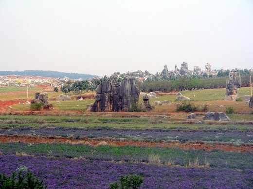 src_12002897
