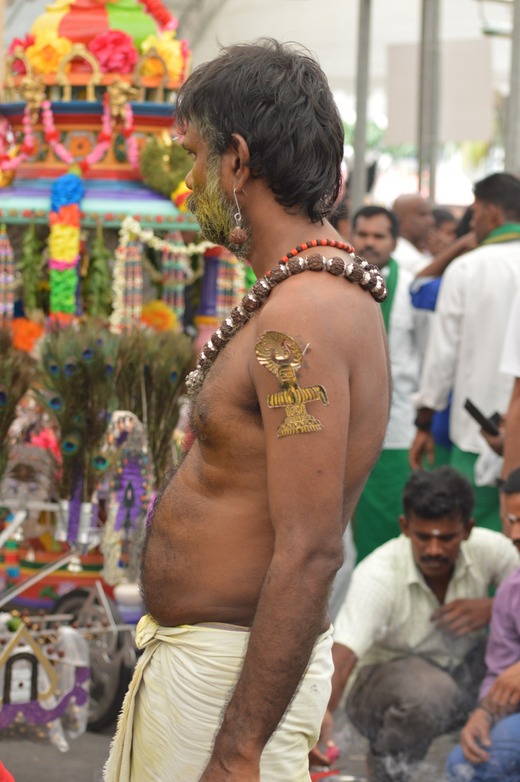 DSC_0419