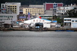 DSC_0235-1