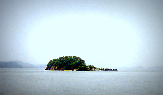 src_10007562
