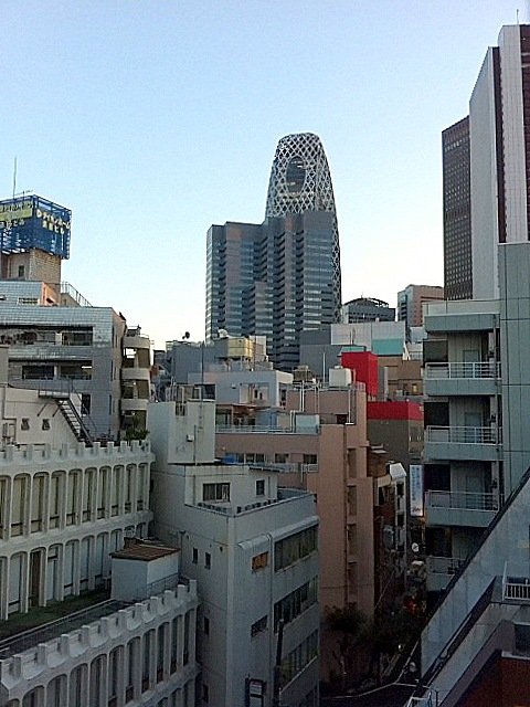 1-IMG_0037