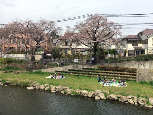 20170406_033507000_iOS
