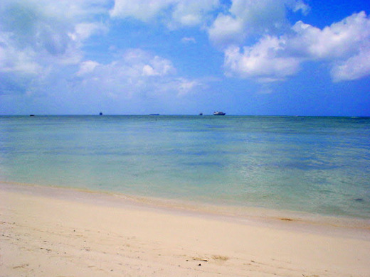 DSC00347