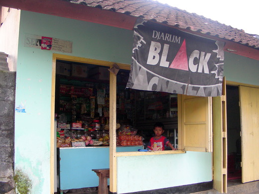 1-DSCN3731