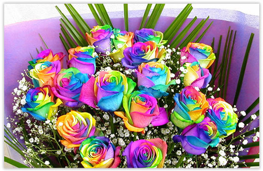 1-rainbow-miracle-y03