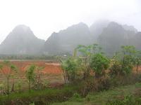 src_11989953