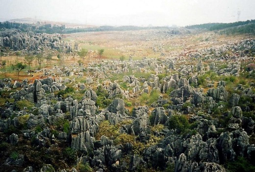 src_12002894
