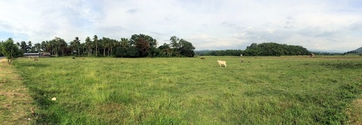 IMG_5946