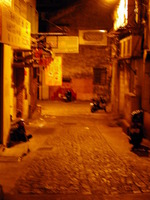 DSCN0526