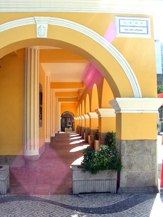 DSCN4202