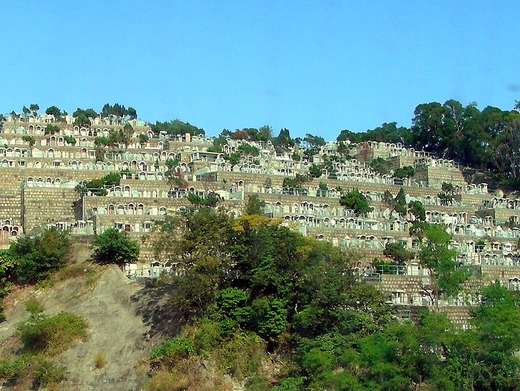 1-DSCN4214