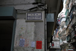 DSC_0186