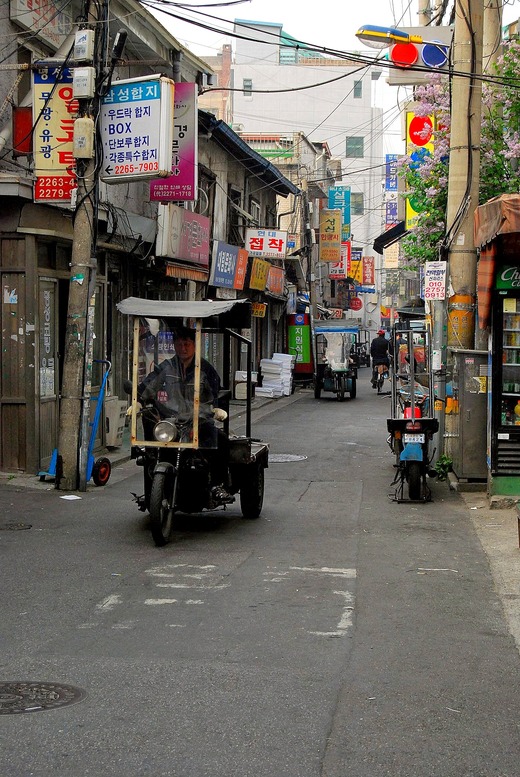 DSC_0079 (1)