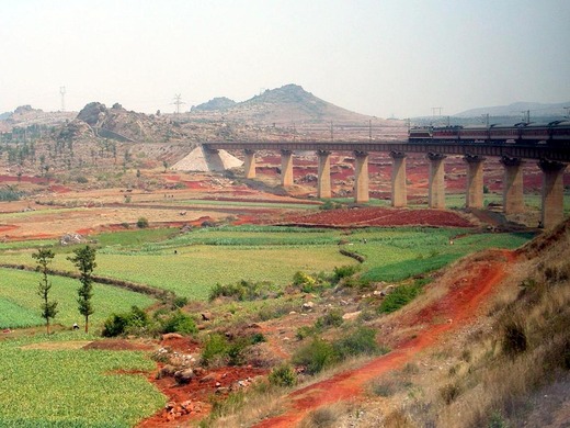 src_12002895