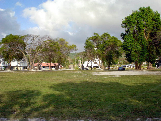 DSC00359