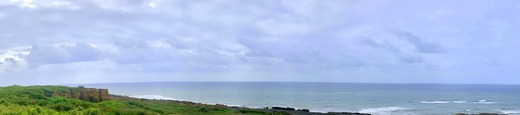 IMG_3551