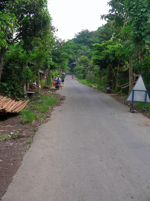 DSCN3746