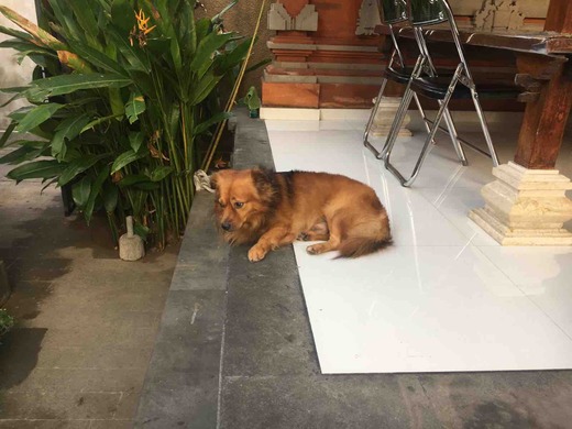 4196549A-210F-4284-8BB9-23EFBEE11CAC