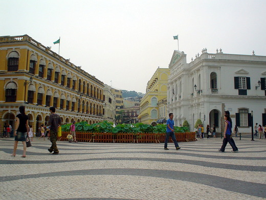 DSC00322