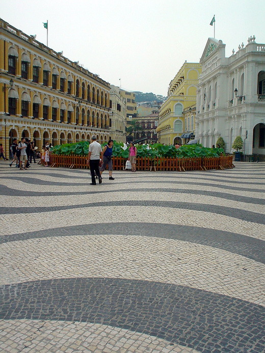 DSC00323