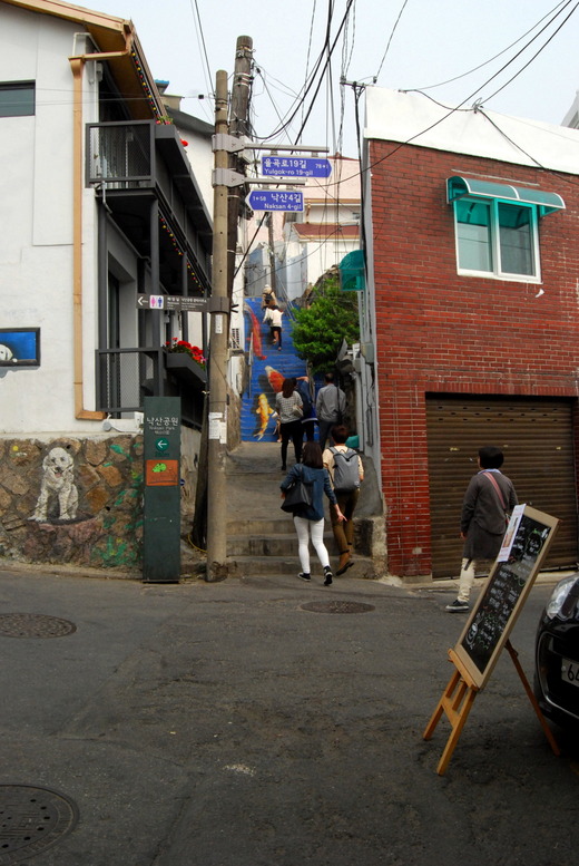 1-DSC_0047