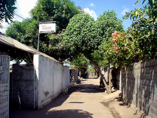 DSC00645