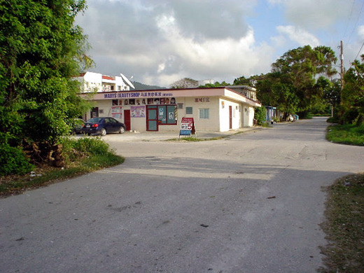 DSC00378