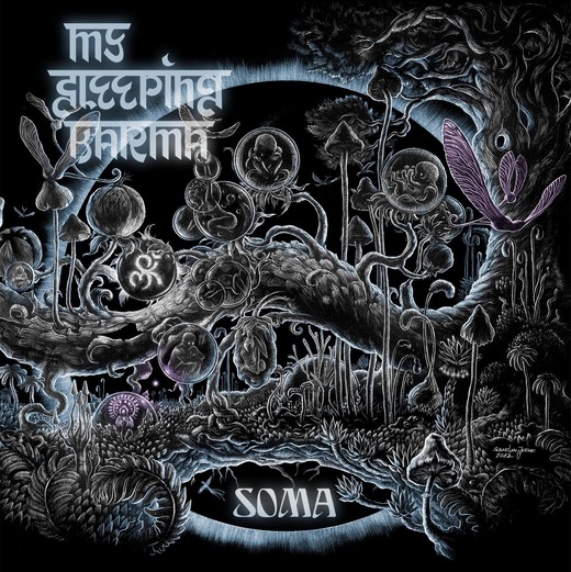 my-sleeping-karma-soma-cover