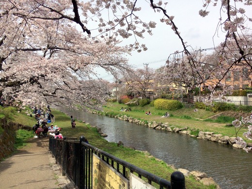 20170406_033538000_iOS